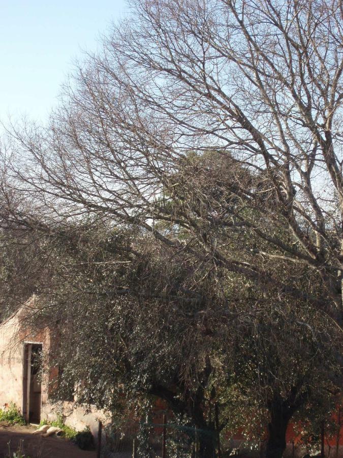 Casal Da Juge Hotel Torres Novas Zewnętrze zdjęcie